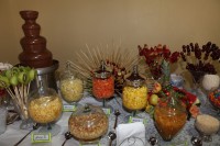 /album/galeria-de-fotos-casamento-de-juliana-nicolas/j-n-1652-jpg1/